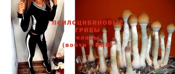 2c-b Заволжье