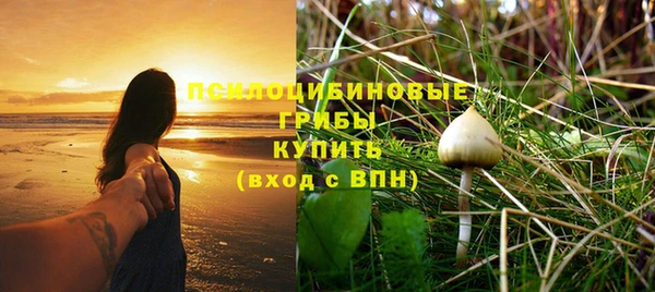 ALPHA PVP Заволжск