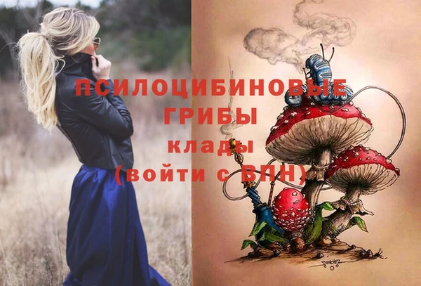 MDMA Заводоуковск